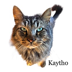 Photo of Kaytho