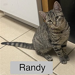 Thumbnail photo of Randy #2