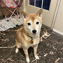 Photo of Lexi
