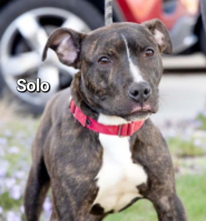 Thumbnail photo of Solo #1