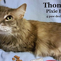 Thumbnail photo of Thomas 2016 #1
