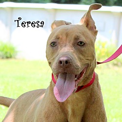 Thumbnail photo of Teresa ~ meet me! #1