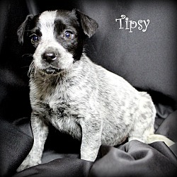 Thumbnail photo of Tipsy~meet me! #3