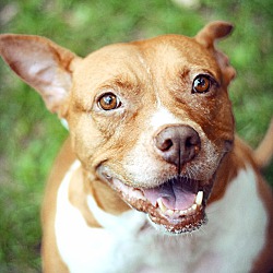Thumbnail photo of Sophie #3
