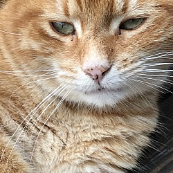 Photo of Jasper