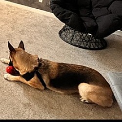 Photo of Athena