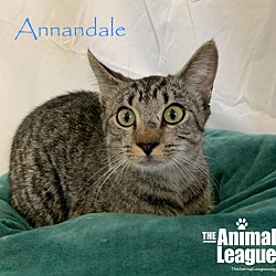Photo of Annandale