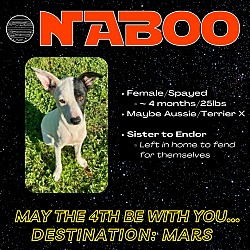 Photo of Naboo