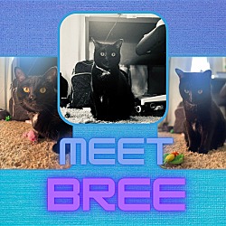 Photo of Bree