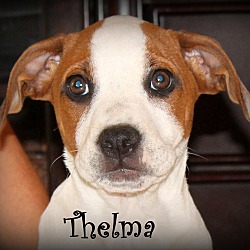 Thumbnail photo of Thelma ~ meet me! #1