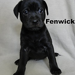 Thumbnail photo of Fenwick #1