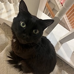 Photo of kiko