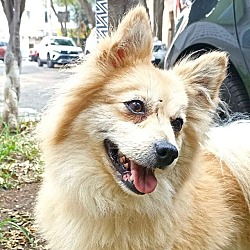 Photo of WENDY