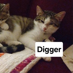 Thumbnail photo of F-Digger #2