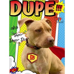 Thumbnail photo of Dupe 'Super Duper Dog' #1