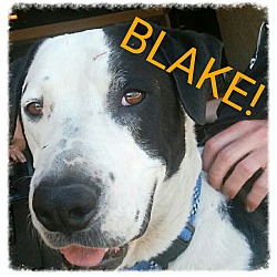 Thumbnail photo of Blake (Courtesy Post) #1