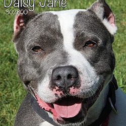 Thumbnail photo of Daisy Jane #1