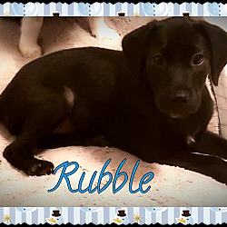 Photo of Rubble