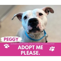 Photo of PEGGY
