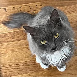 Photo of Zara