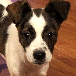 Photo of Sandy
