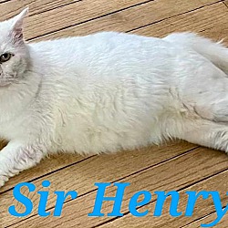 Photo of Sir Henry