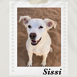 Photo of Sissi