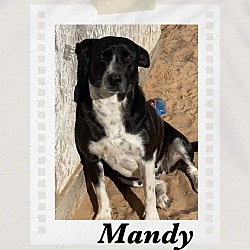 Photo of Mandy