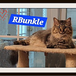 Thumbnail photo of RBunkle & Big Mama #1