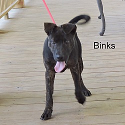Thumbnail photo of Binks #2