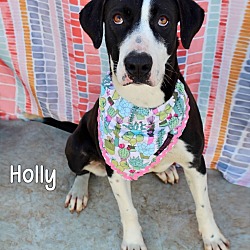 Photo of Holly