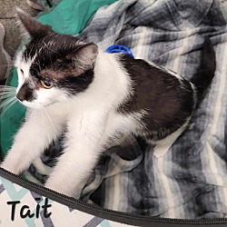 Photo of Tait