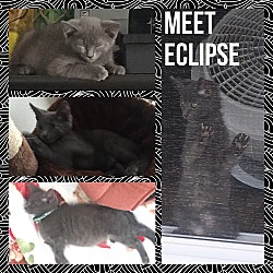Photo of ECLIPSE