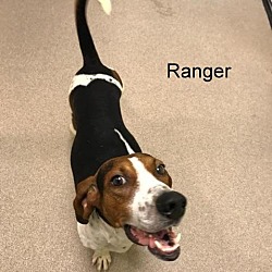 Thumbnail photo of Ranger #1