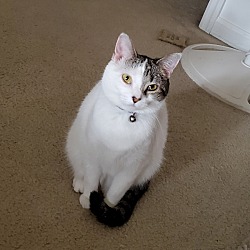 Photo of Luna