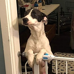 Photo of Hazel