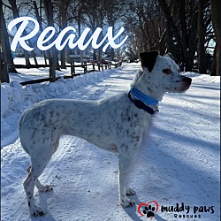 Thumbnail photo of Reaux - Courtesy Post #3