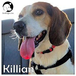 Thumbnail photo of Killian #1