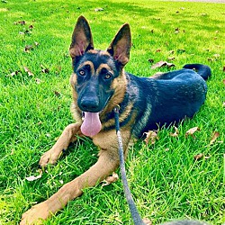 Photo of Antonio