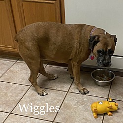 Photo of Wiggles - Silver Heart