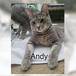Thumbnail photo of Andy #1