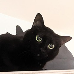 Thumbnail photo of Lucie #1