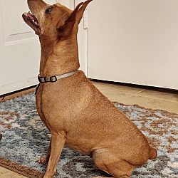 Photo of Evie