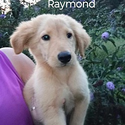 Photo of Raymond
