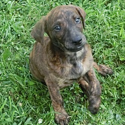 Thumbnail photo of Ted M~adopted! #3