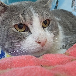 Photo of Sterling