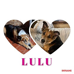 Photo of LULU