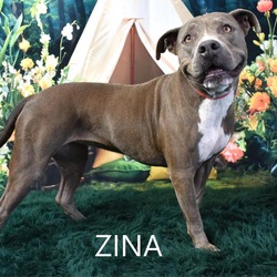 Thumbnail photo of Zina #2