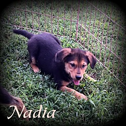 Thumbnail photo of Nadia #2