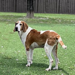 Photo of Dixon